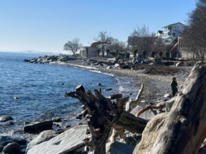 Ferienwohnung Sassnitz