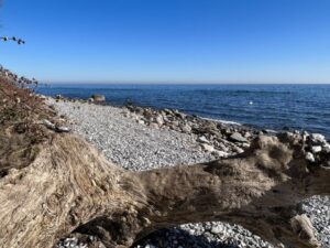 Ferienwohnung Sassnitz