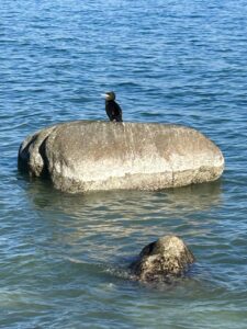 Ferienwohnung Sassnitz